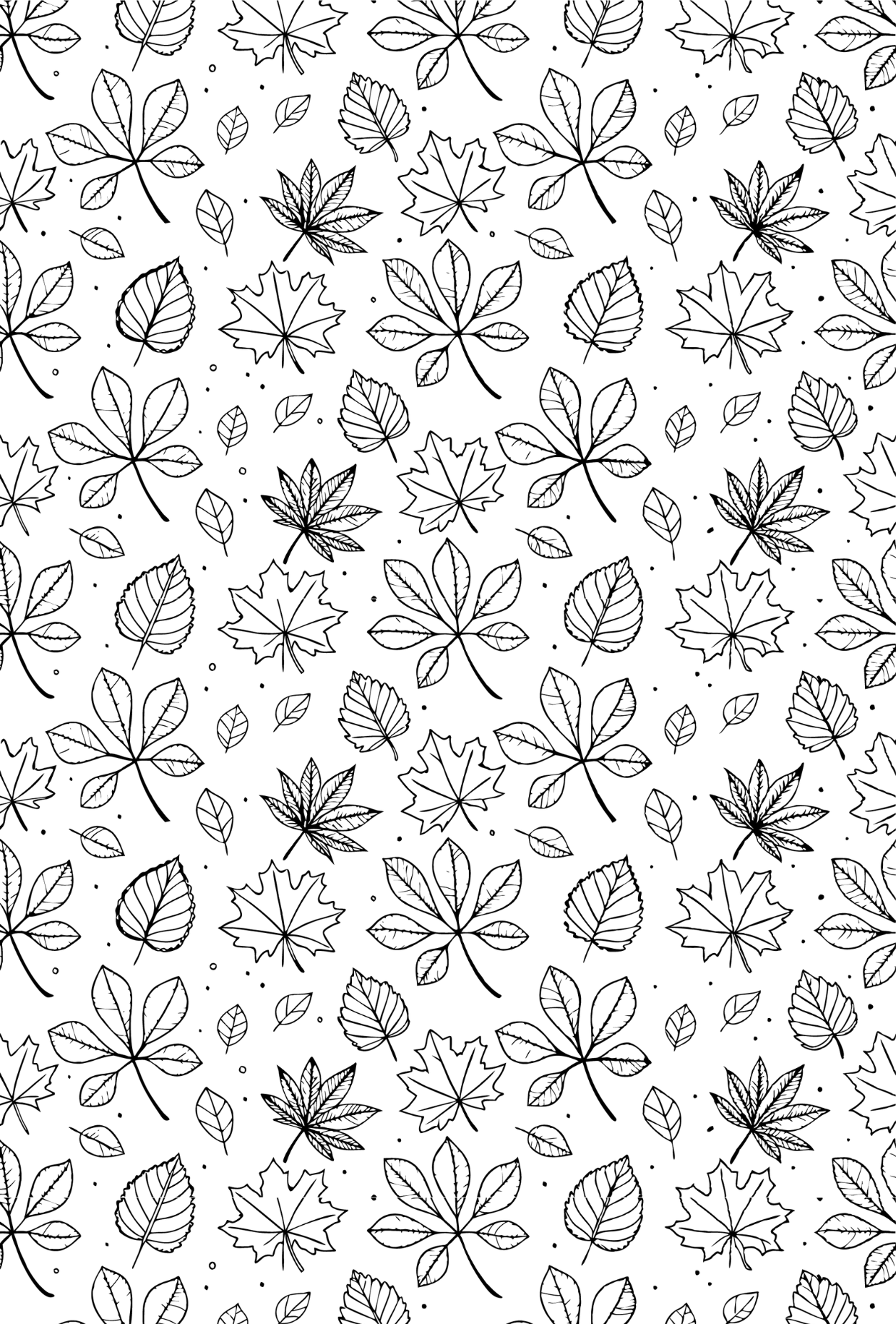 Autumn Black and white Patterns 4 - TILLY'S TUBES