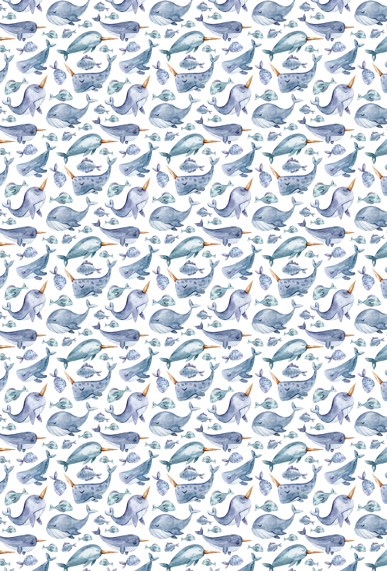Narwhal & Whale - TILLY'S TUBES