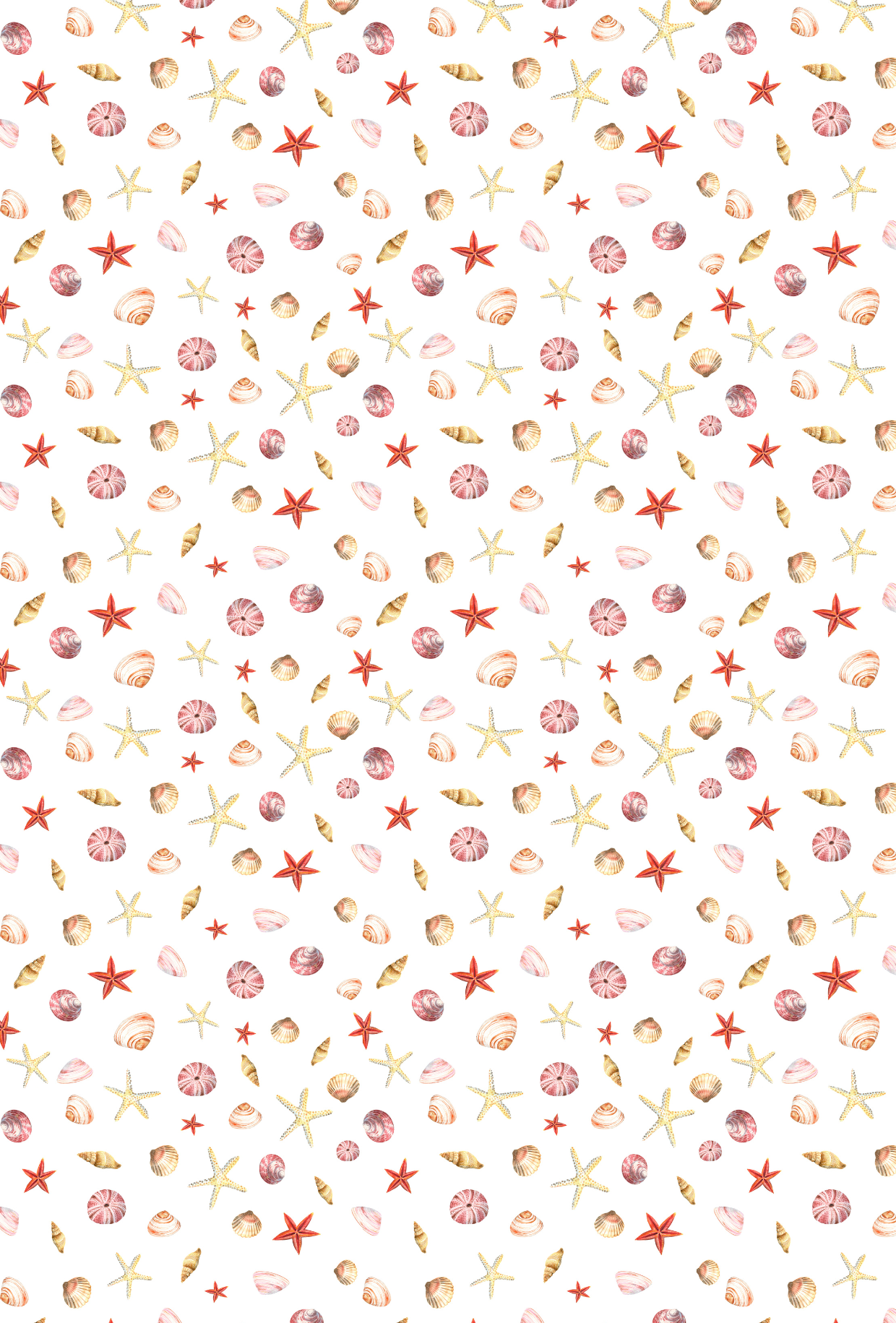 Summer Shells 1 - TILLY'S TUBES