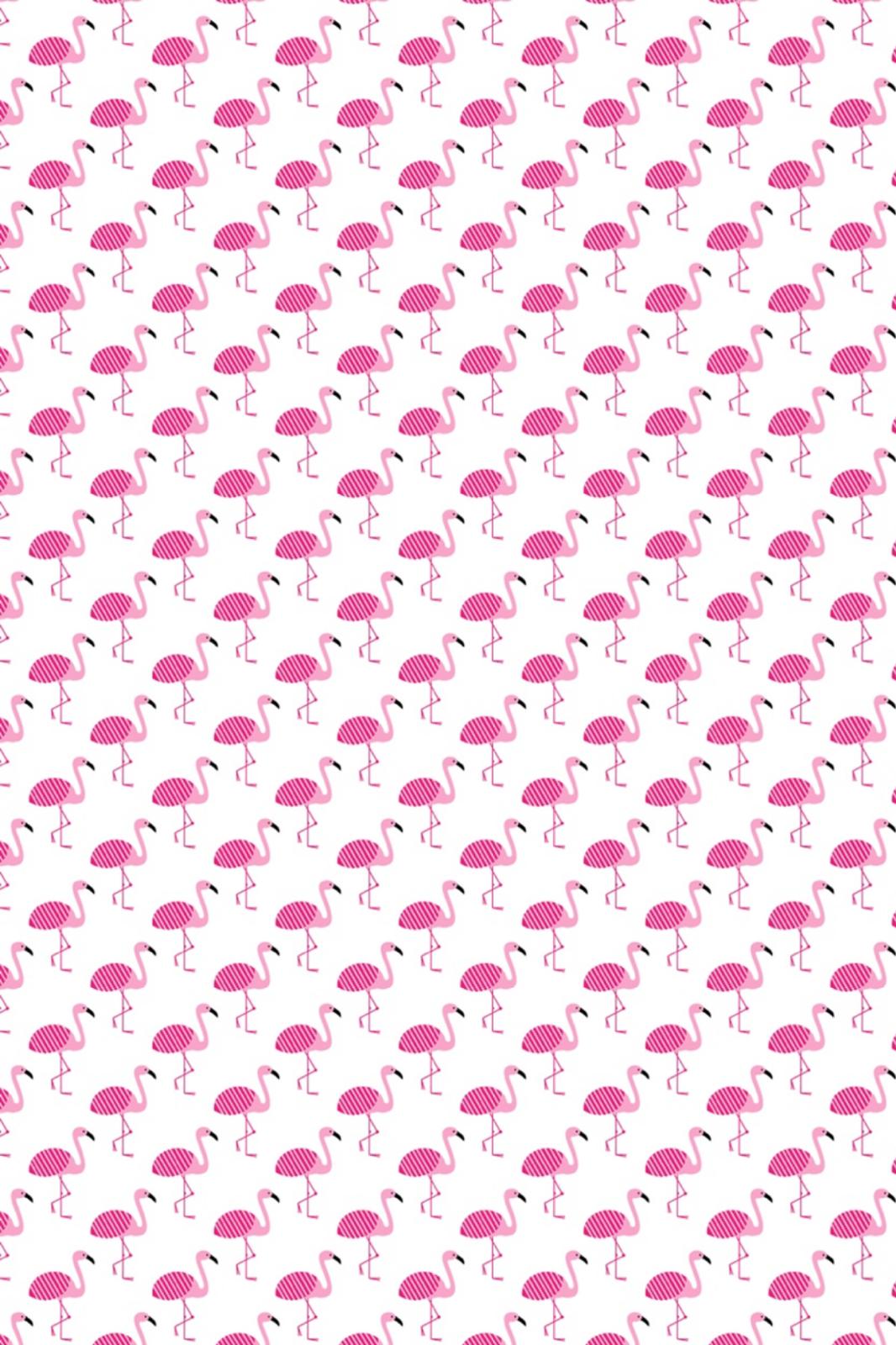 Flamingo Tape - TILLY'S TUBES