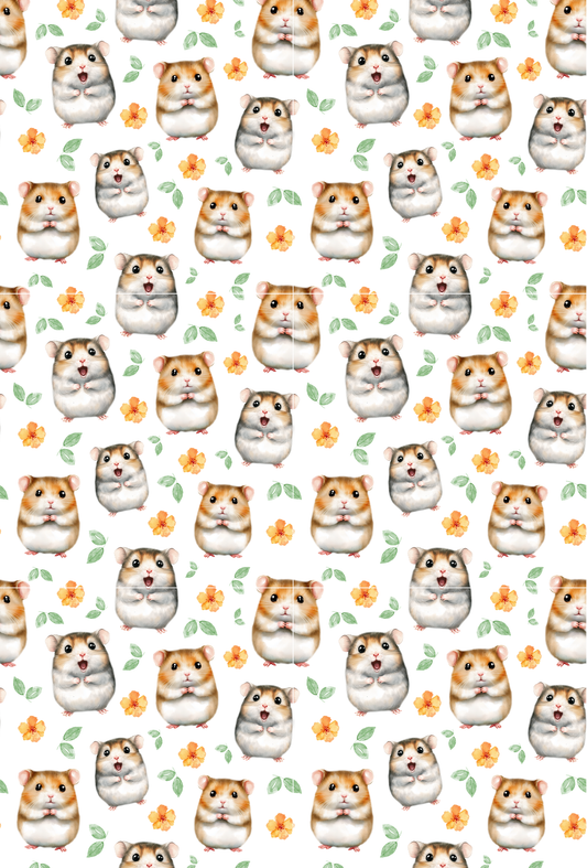 Hamster - TILLY'S TAPES