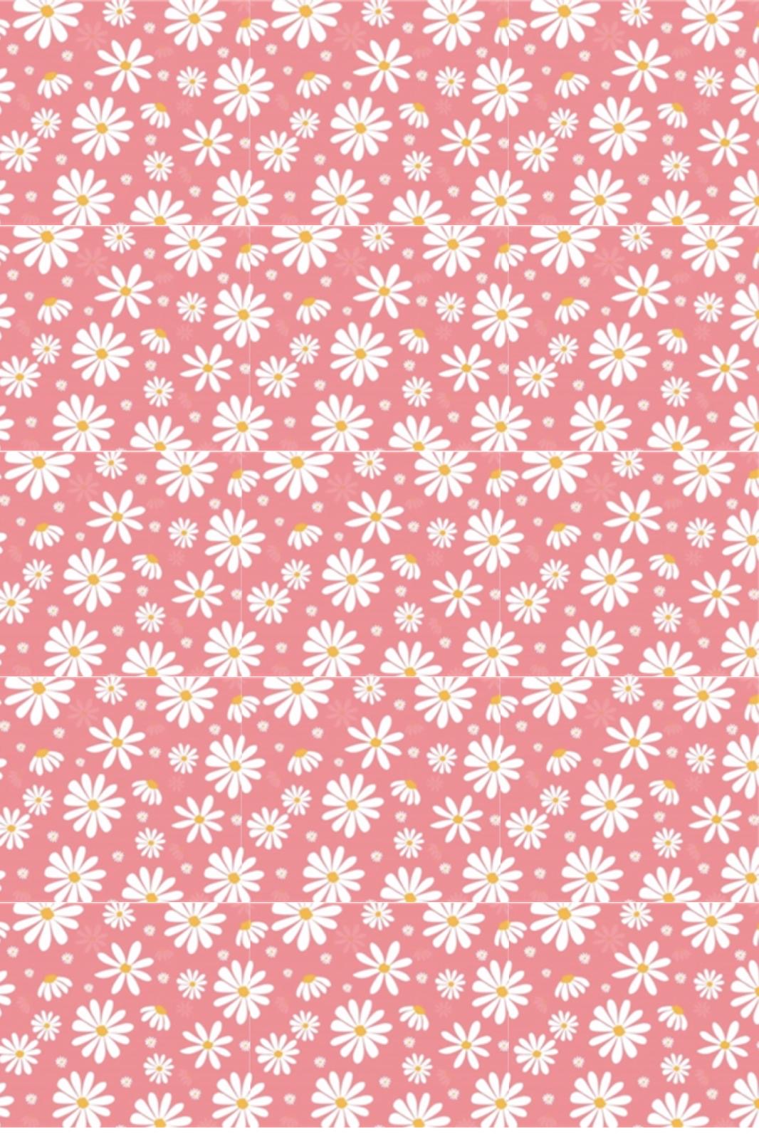Pink & White Daisies Tape - TILLY'S TUBES