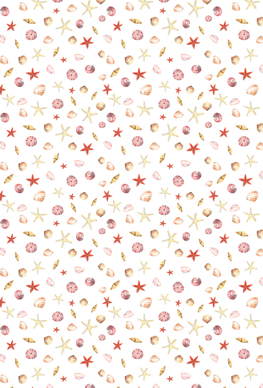 Summer Shells 1 - TILLY'S TUBES